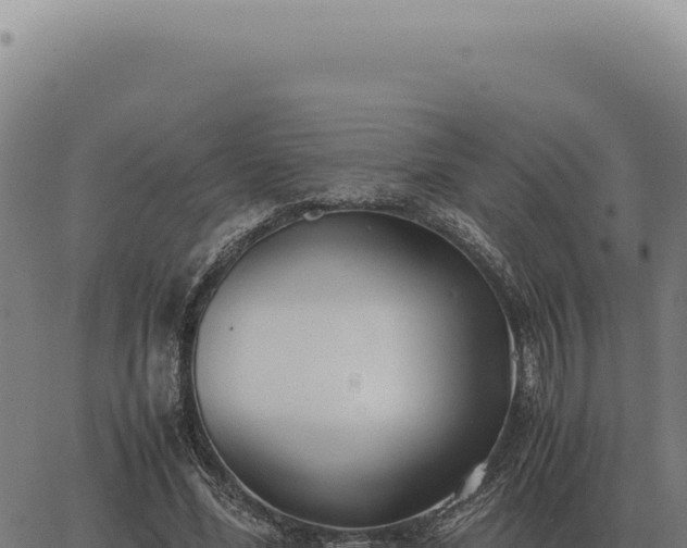 X0000063500588200601271747