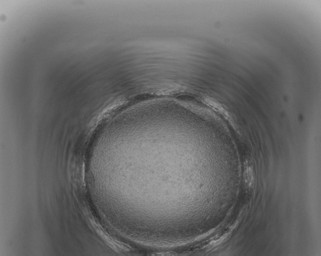 X0000063500589200601271747