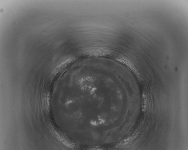 X0000063500590200601271747