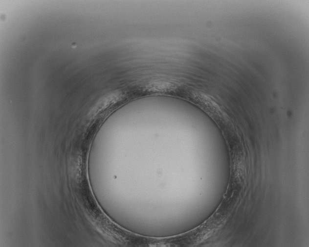 X0000063500591200601271747