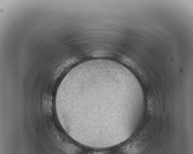 X0000063500592200601271747