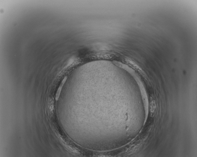 X0000063500593200601271747