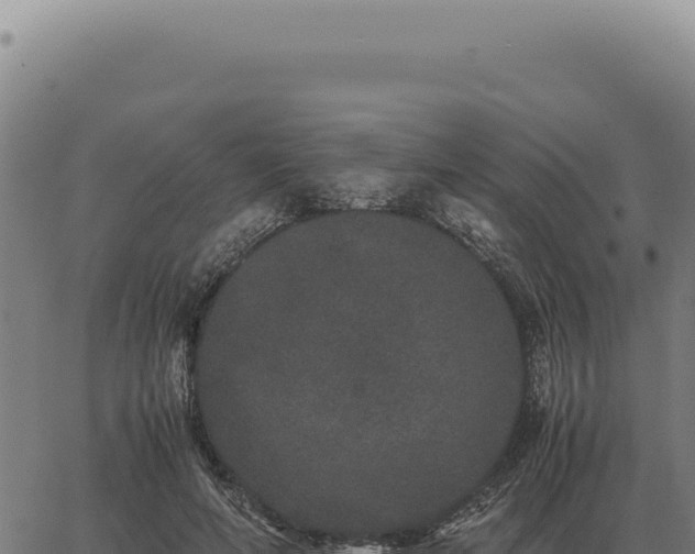 X0000063500594200601271747