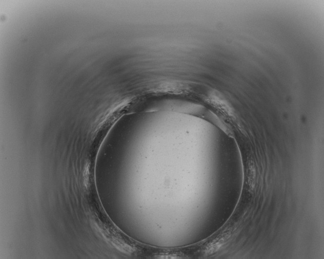 X0000063500596200601271747