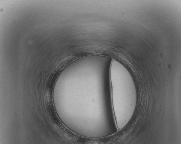 X0000063500597200601271747