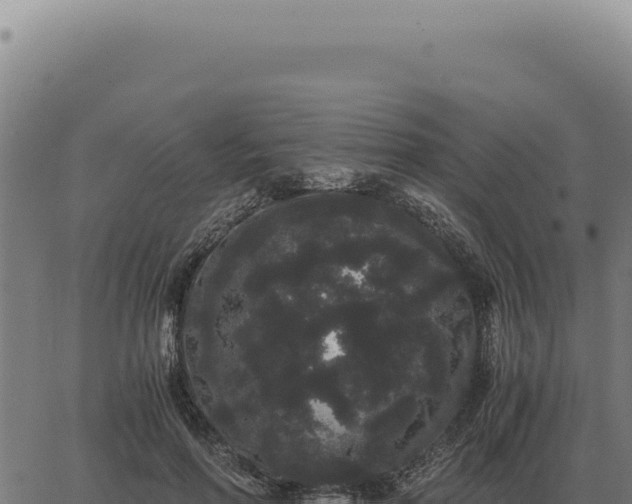 X0000063500598200601271747