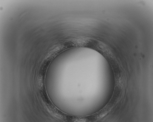 X0000063500599200601271747