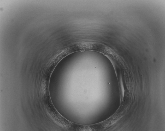 X0000063500600200601271747