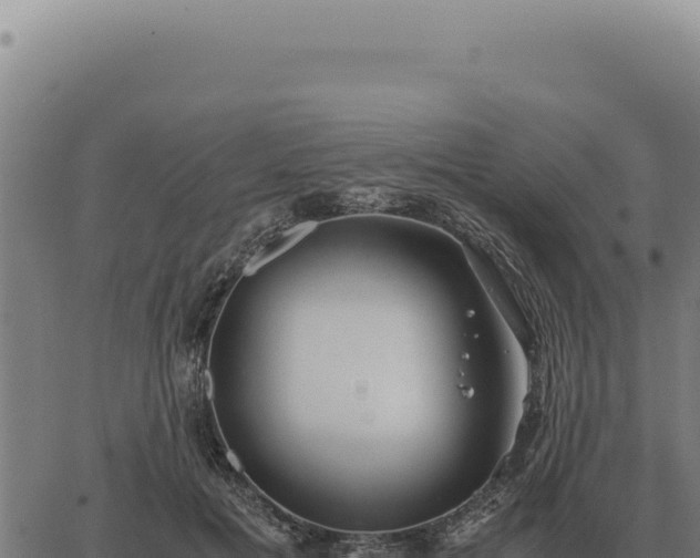 X0000063500601200601271747