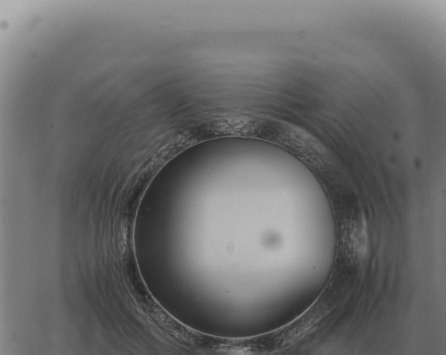 X0000063500602200601271747