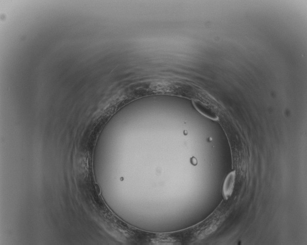 X0000063500603200601271747