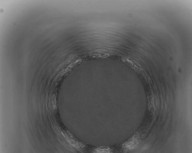 X0000063500606200601271747