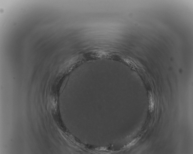 X0000063500607200601271747