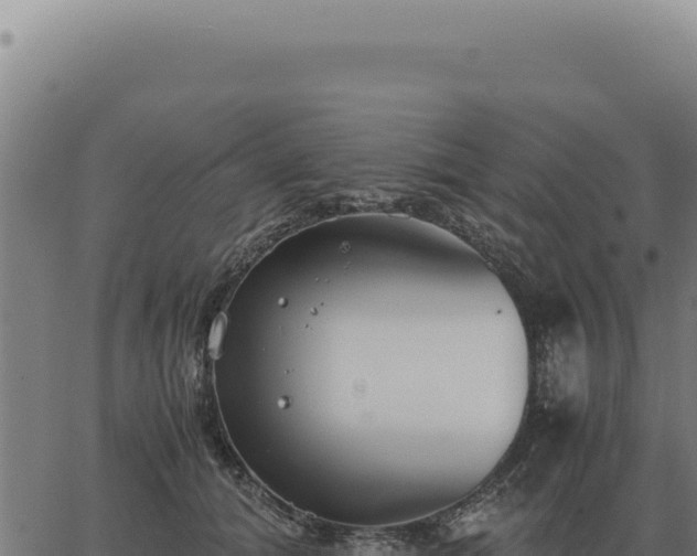 X0000063500608200601271747