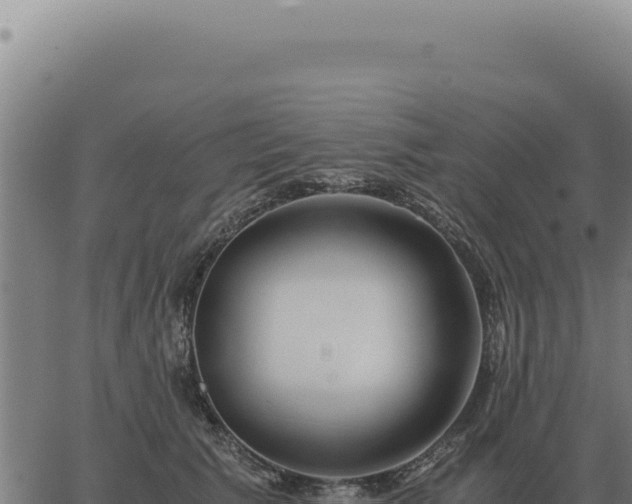 X0000063500609200601271747