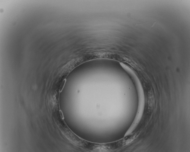 X0000063500611200601271747