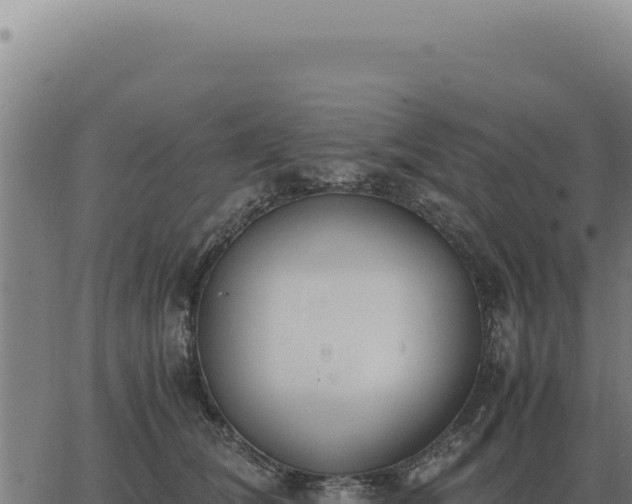 X0000063500612200601271747