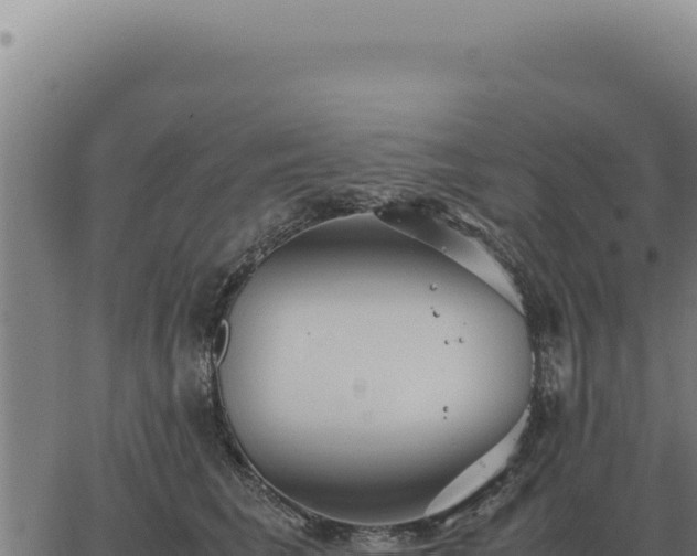 X0000063500613200601271747