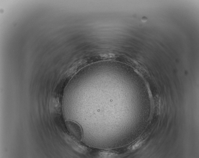 X0000063500614200601271747