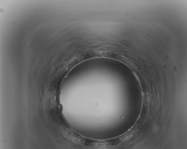 X0000063500615200601271747