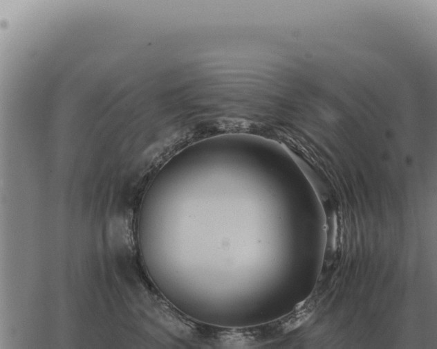 X0000063500616200601271747