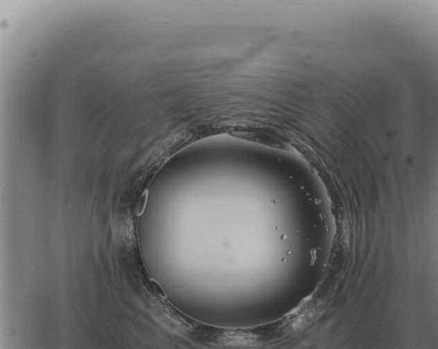 X0000063500617200601271746