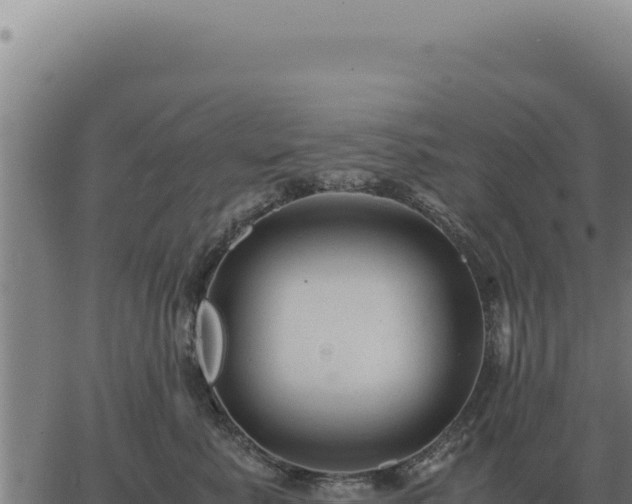 X0000063500619200601271746