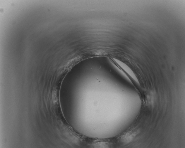 X0000063500620200601271746