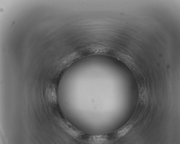 X0000063500622200601271746