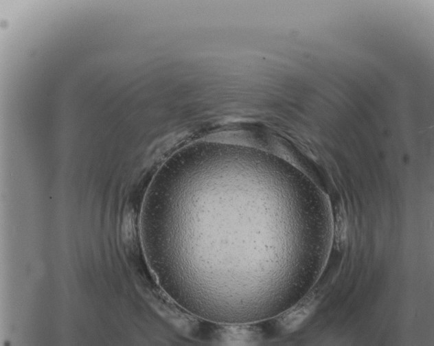 X0000063500623200601271746