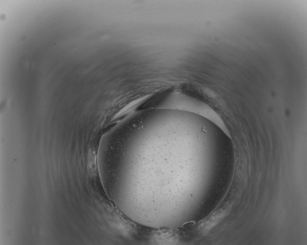 X0000063500624200601271746