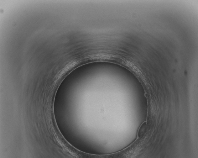 X0000063500625200601271746