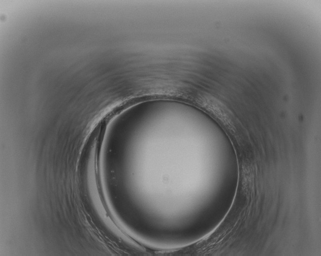 X0000063500628200601271746