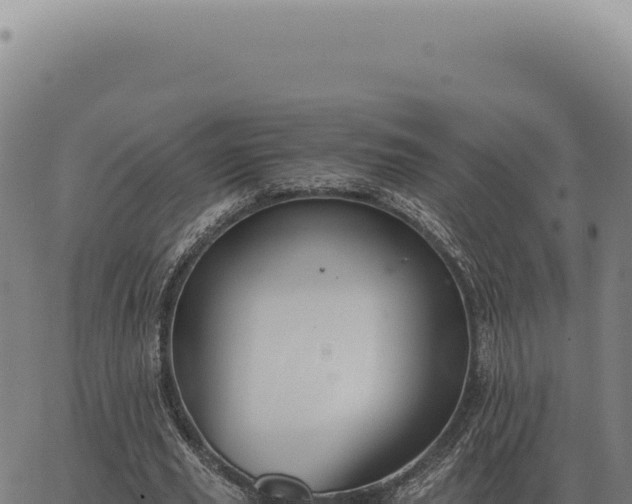 X0000063500629200601271746