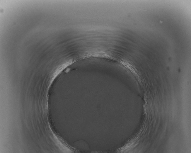 X0000063500630200601271746