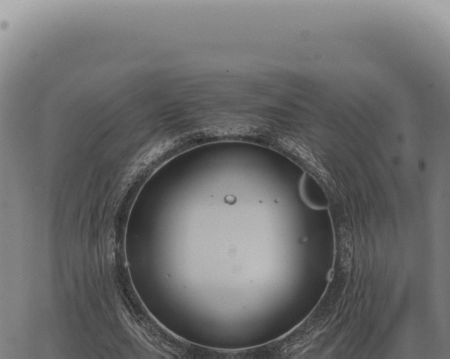 X0000063500631200601271746