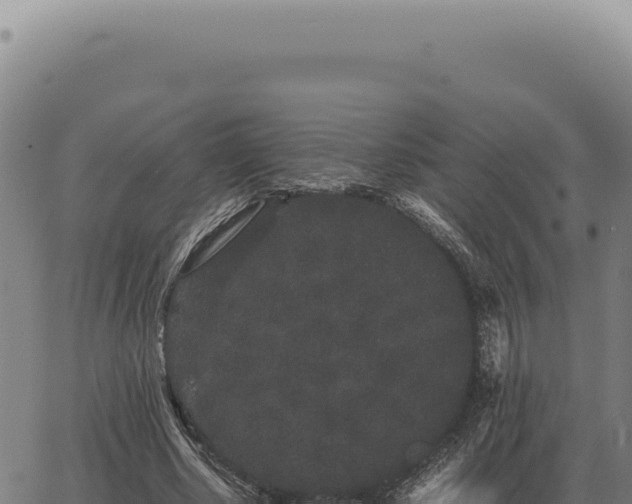 X0000063500634200601271746