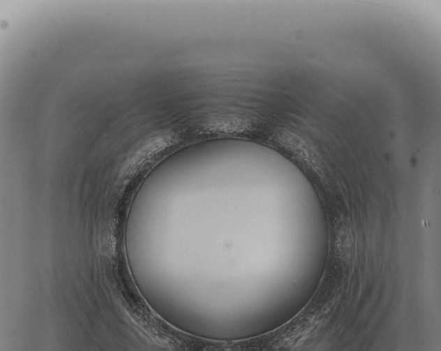 X0000063500635200601271746