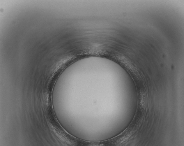 X0000063500636200601271746