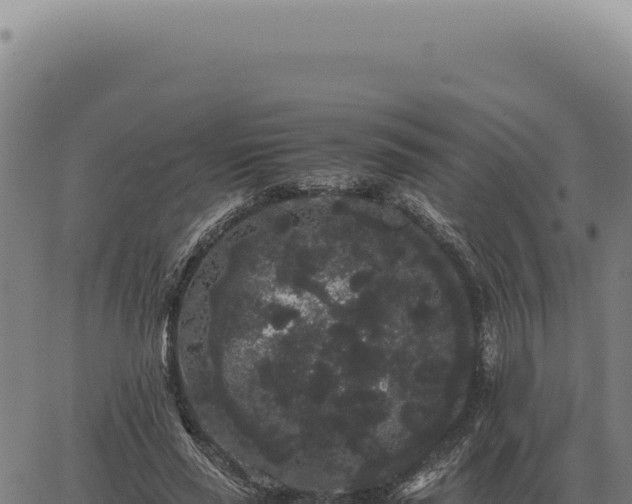 X0000063500637200601271746