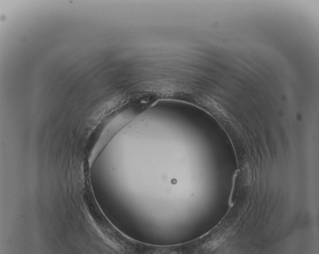 X0000063500638200601271746