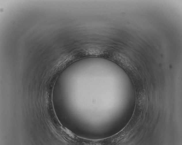 X0000063500639200601271746