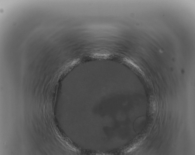 X0000063500641200601271746