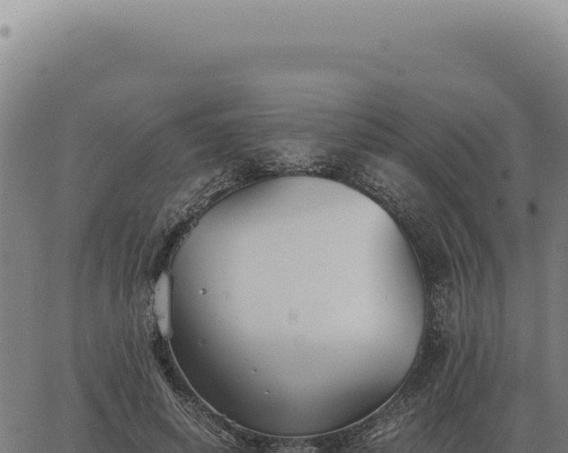 X0000063500642200601271746