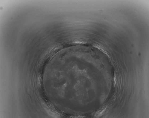 X0000063500643200601271746