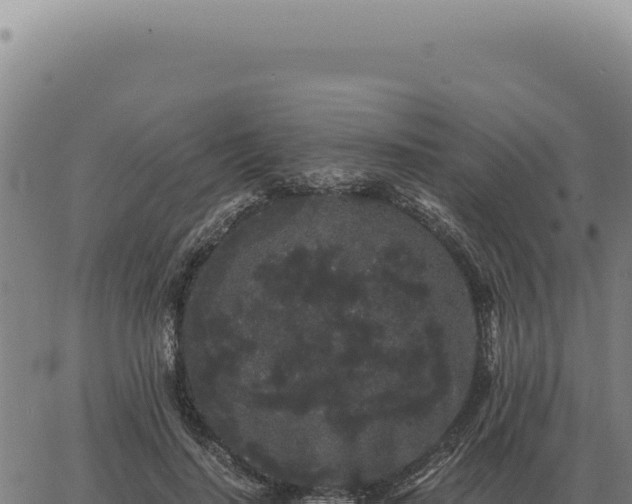 X0000063500644200601271746