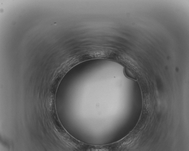 X0000063500645200601271746