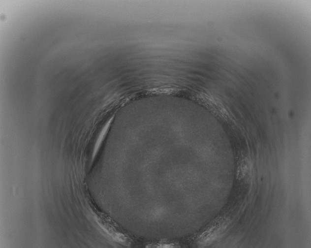 X0000063500647200601271746