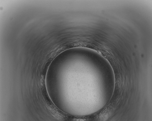 X0000063500649200601271746