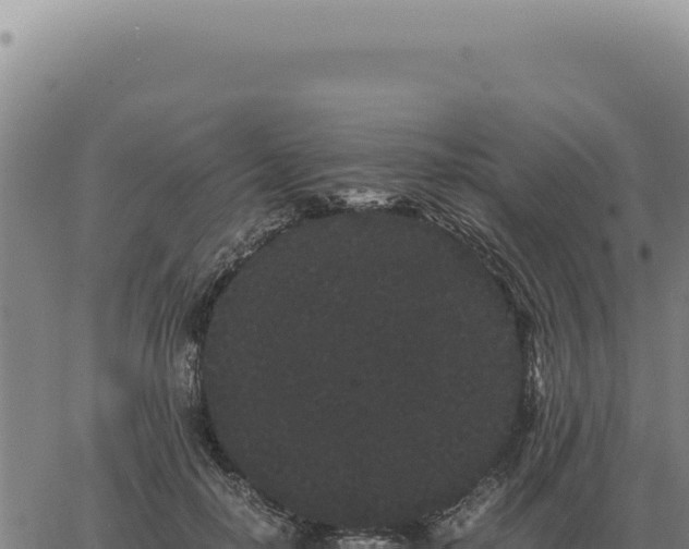 X0000063500650200601271746